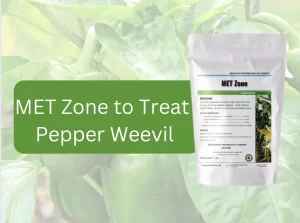 MET Zone: An Effective Solution for Pepper Weevil Control