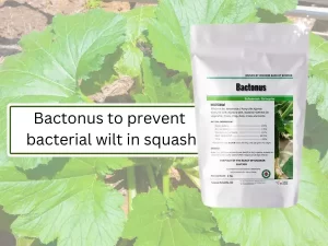 Image - depicting - 'Bactonus' - as - a - solution - for - treating - bacterial - wilt - in - squash, - with - a - healthy - plant - and - product - display. 