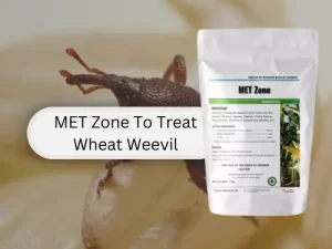  MET Zone product for treating wheat weevil infestation.
