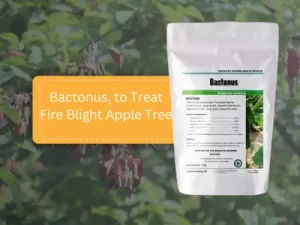 Bactonus-to-treat-fire-blight-apple-tree-packaging-with-diseased-branch-background