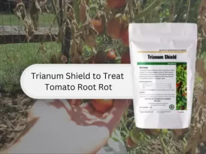Trianum-Shield-product-packaging-for-treating-tomato-root-rot.