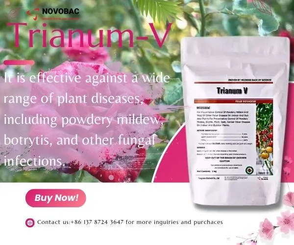 Trianum-V fungicide for powdery mildew on roses