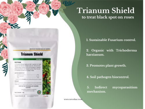 A product packaging for "Trianum Shield" displayed against a floral border design. The packaging is primarily white with a label detailing the product as a broad-spectrum bio fungicide. The right side of the image highlights the product's features, including sustainable Fusarium control, organic composition with Trichoderma harzianum, plant growth promotion, soil pathogen biocontrol, and indirect mycoparasitism mechanism.