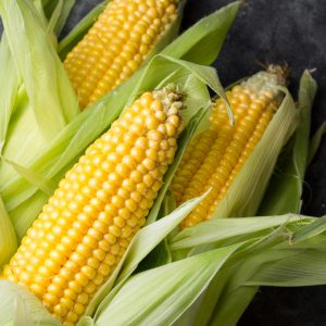 Close-up of fresh yellow corn cobs partially husked, with bright green leaves, displayed on a dark background.