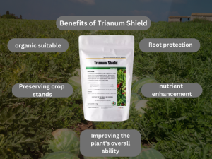 Info-graphic highlighting benefits of Trianum Shield on a crop field background: organic suitable, root protection, preserving crop stands, nutrient enhancement, and improving plant's ability.