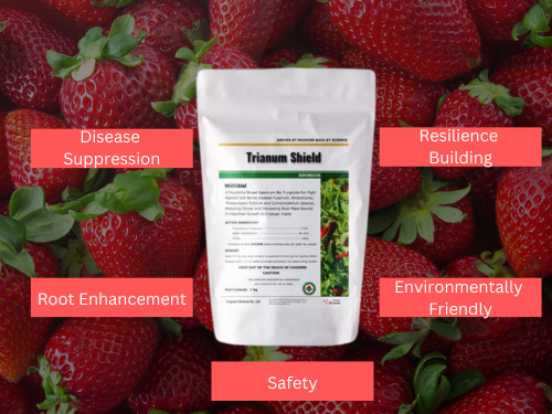 Package of Trianum Shield Trichoderma Bio-Fungicide on a background of fresh strawberries with labels highlighting key benefits.