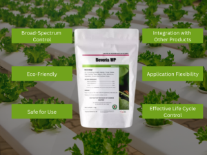 Promotional image for Beveria WP insecticide, highlighting benefits over a background of healthy lettuce plants.