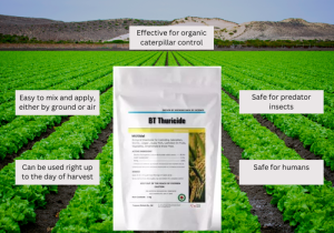 Novobac's BT Thuricide insecticide bottle with a green label showcasing Bacillus thuringiensis as the active ingredient, used for organic caterpillar control.