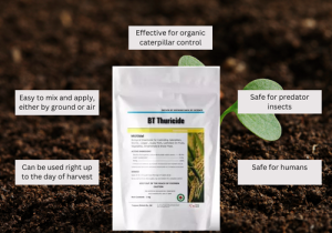 Novobac's BT Thuricide insecticide bottle with a green label showcasing Bacillus thuringiensis as the active ingredient, used for organic caterpillar control.