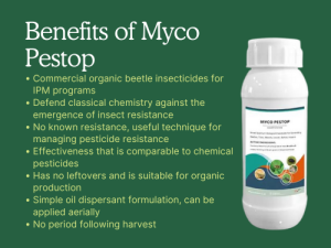 A white bottle of Myco Pestop on a green background, with text listing the benefits of the product for organic beetle insecticides and IPM programs.