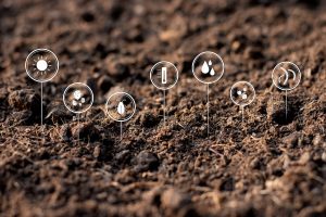 Icons representing various soil factors such as sunlight, microbes, temperature, moisture, pests, and worms over a soil background