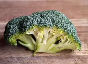 Spider mites on broccoli leaves, with visible fine webbing and tiny red or green insects