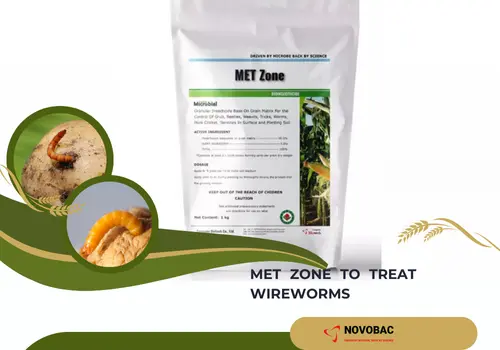 A product called MET Zone bioinsecticide displayed alongside images of wireworms. 