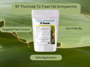 A BT Thuricide product package displayed on a leaf background, highlighting benefits like targeted pest control, eco-friendliness, and safe application.