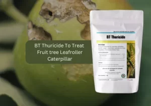 Packet of BT Thuricide insecticide for treating Fruit Tree Leafroller Caterpillar. 